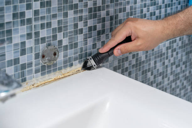 Best Mold Cleaning Services  in Spencer, WV