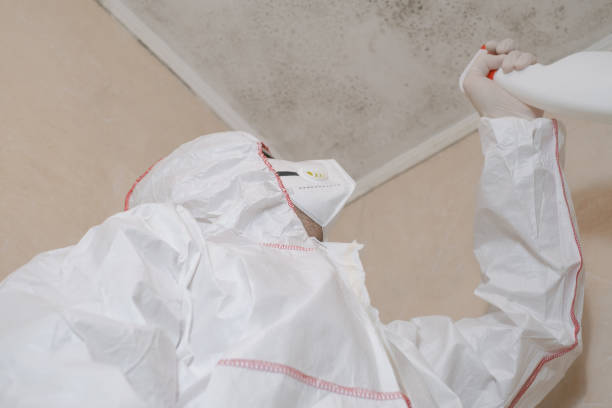 Best Emergency Mold Removal  in Spencer, WV